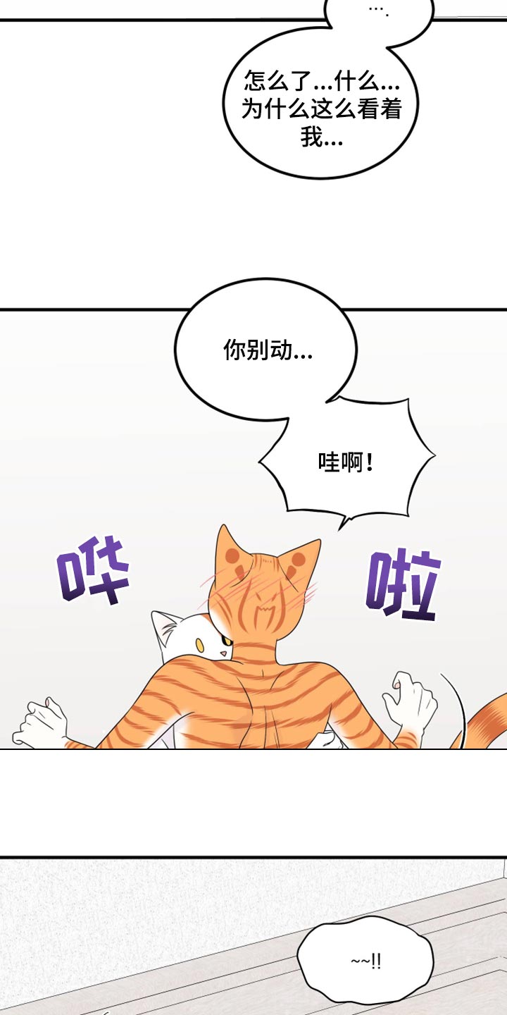 第72章：【第二季】这是折磨啊2