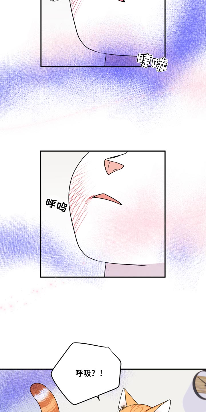 第51章：决定5