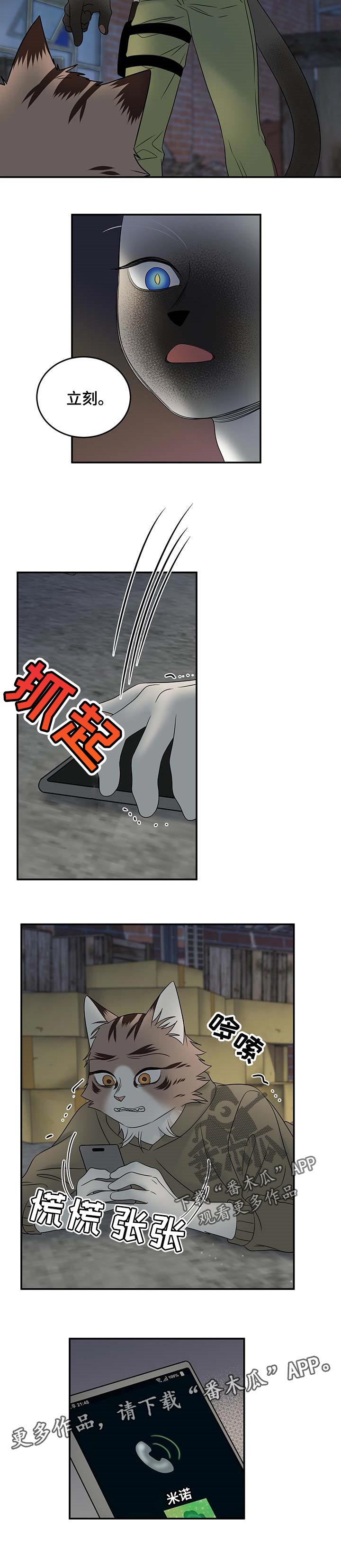第31章：叫他出来7