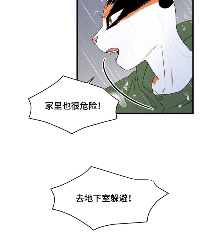 第88章：【第二季】台风18