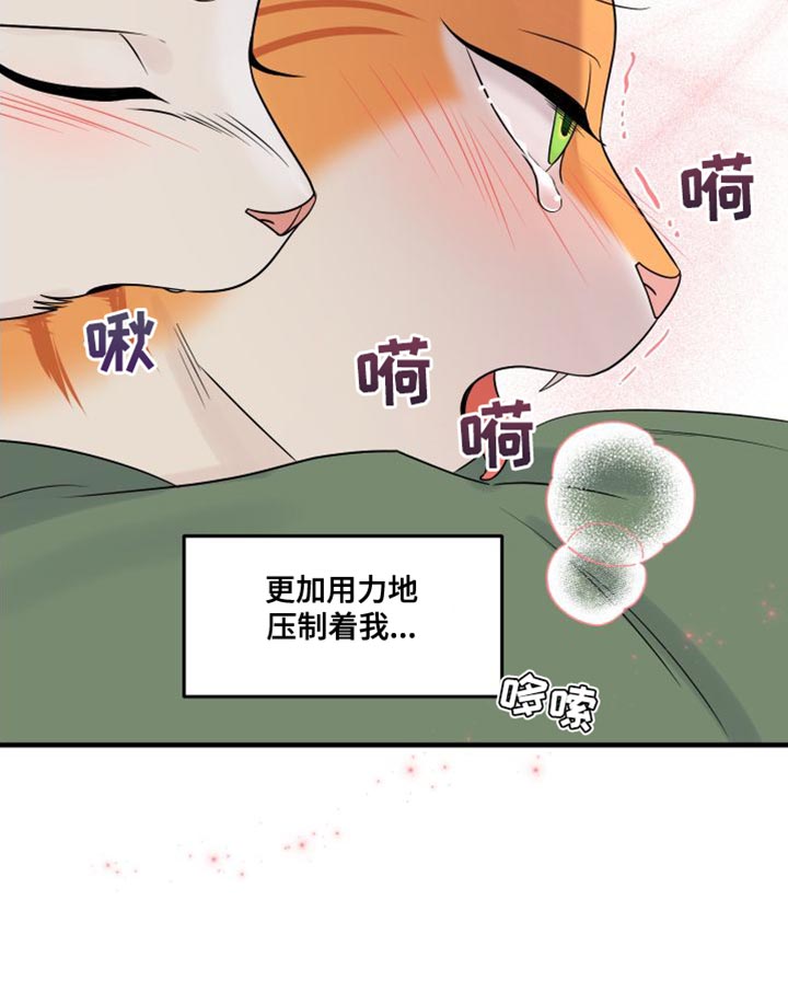 第104章：【第二季】更重要的事24