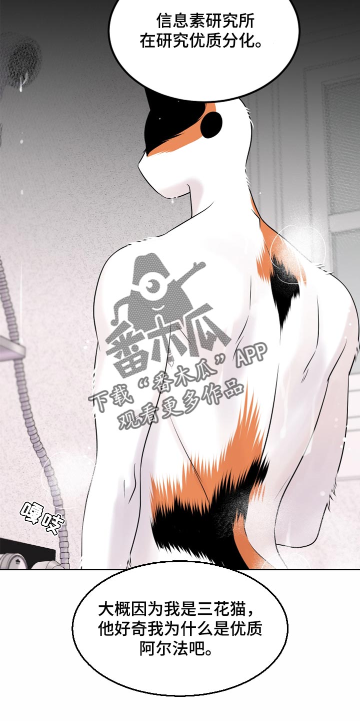 第70章：【第二季】我想放弃16