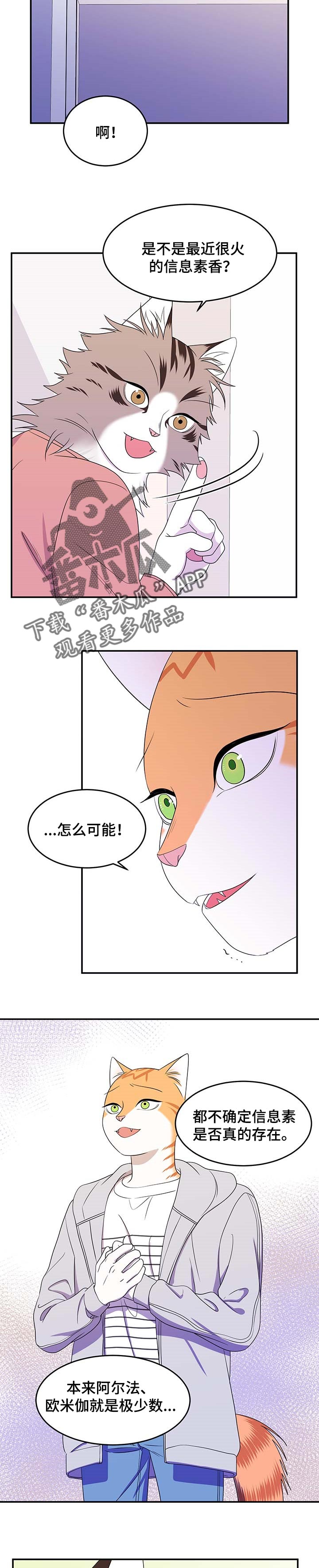 第19章：信息素1