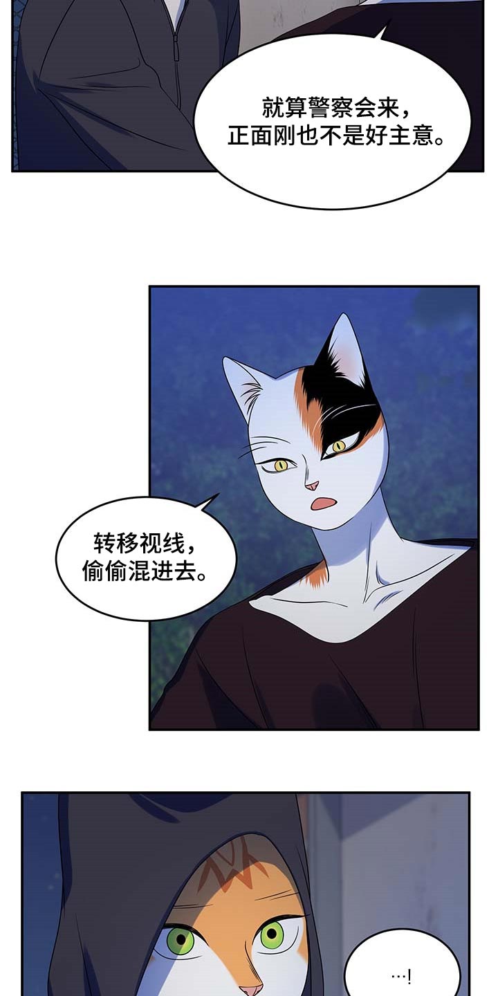 第37章：我很强的3