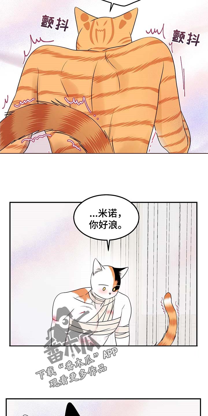 第47章：好好看着你17
