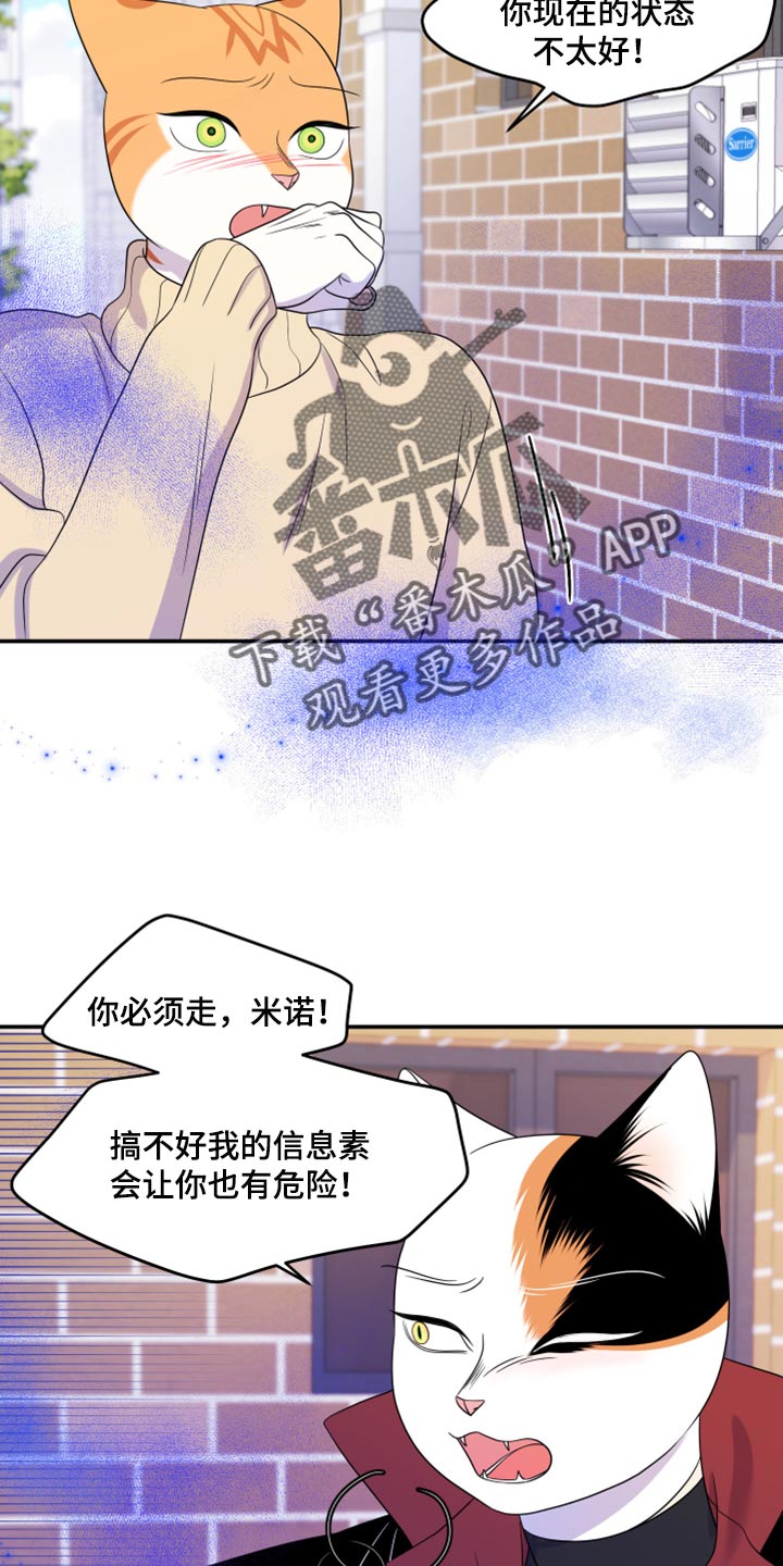 第49章：让我保护你10