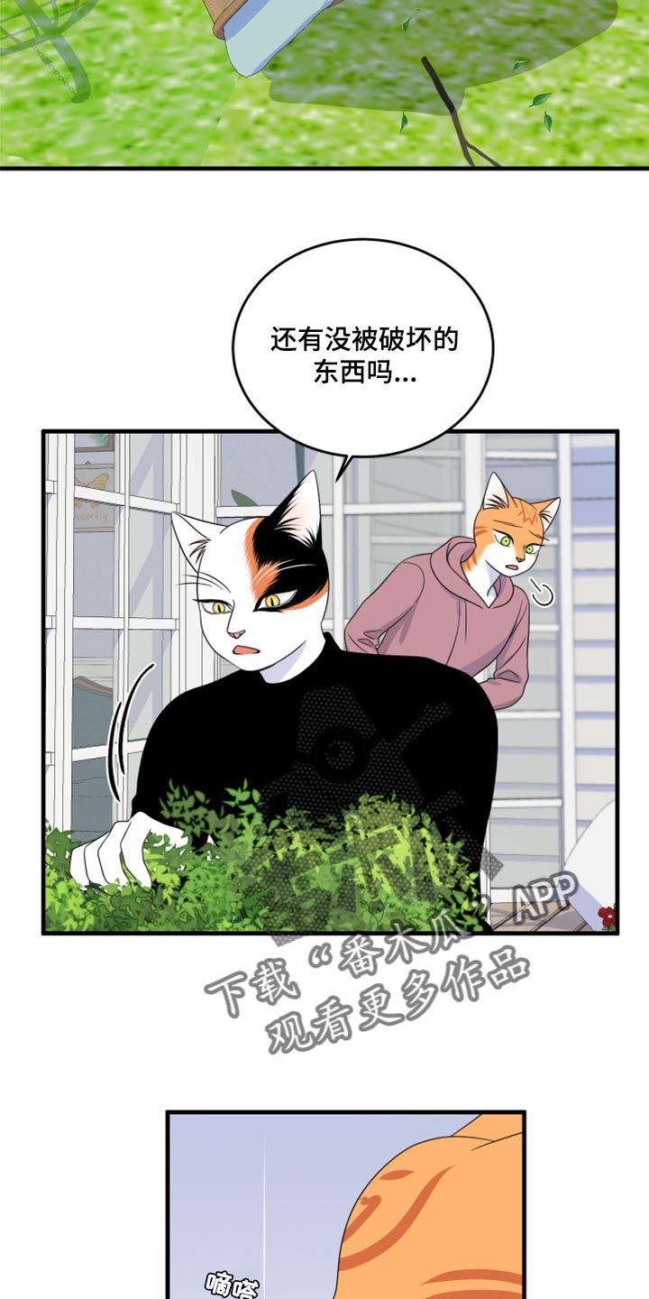 第89章：【第二季】乱七八糟14