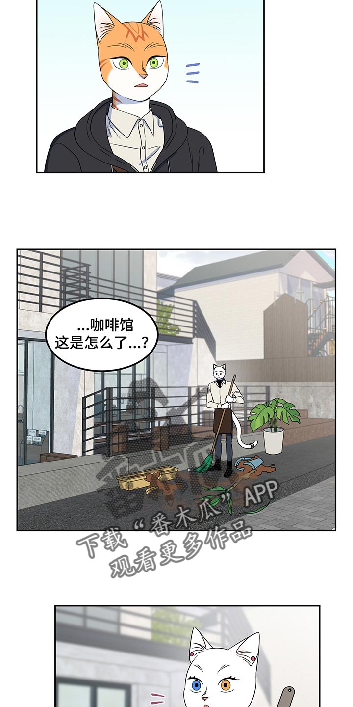 第43章：世道不太平11