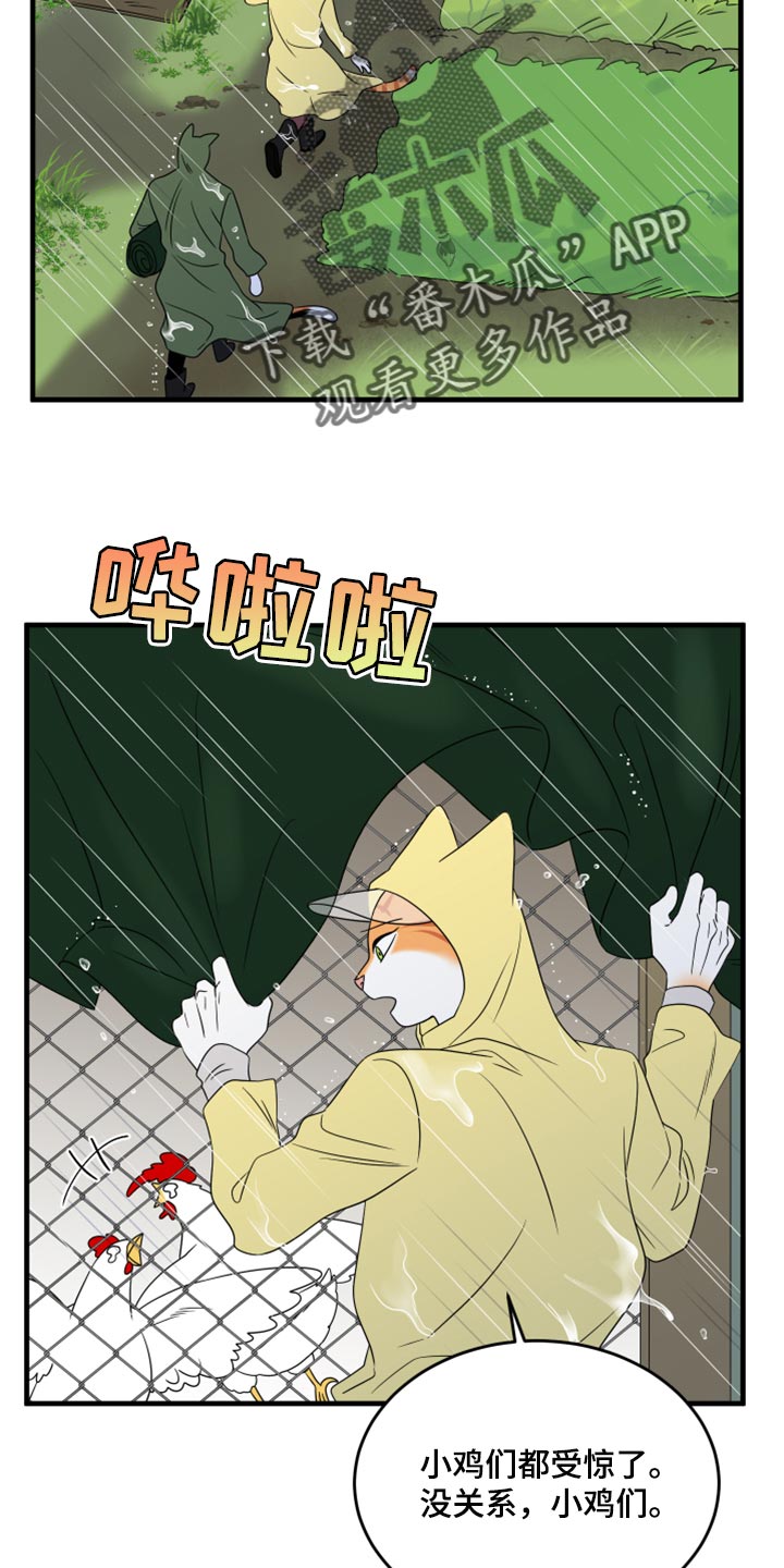 第88章：【第二季】台风4
