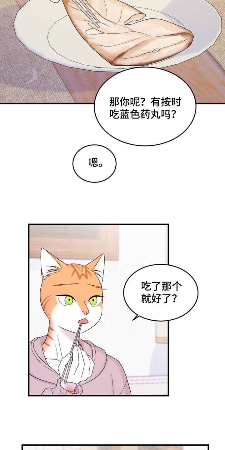 第73章：【第二季】绑架灵猫8