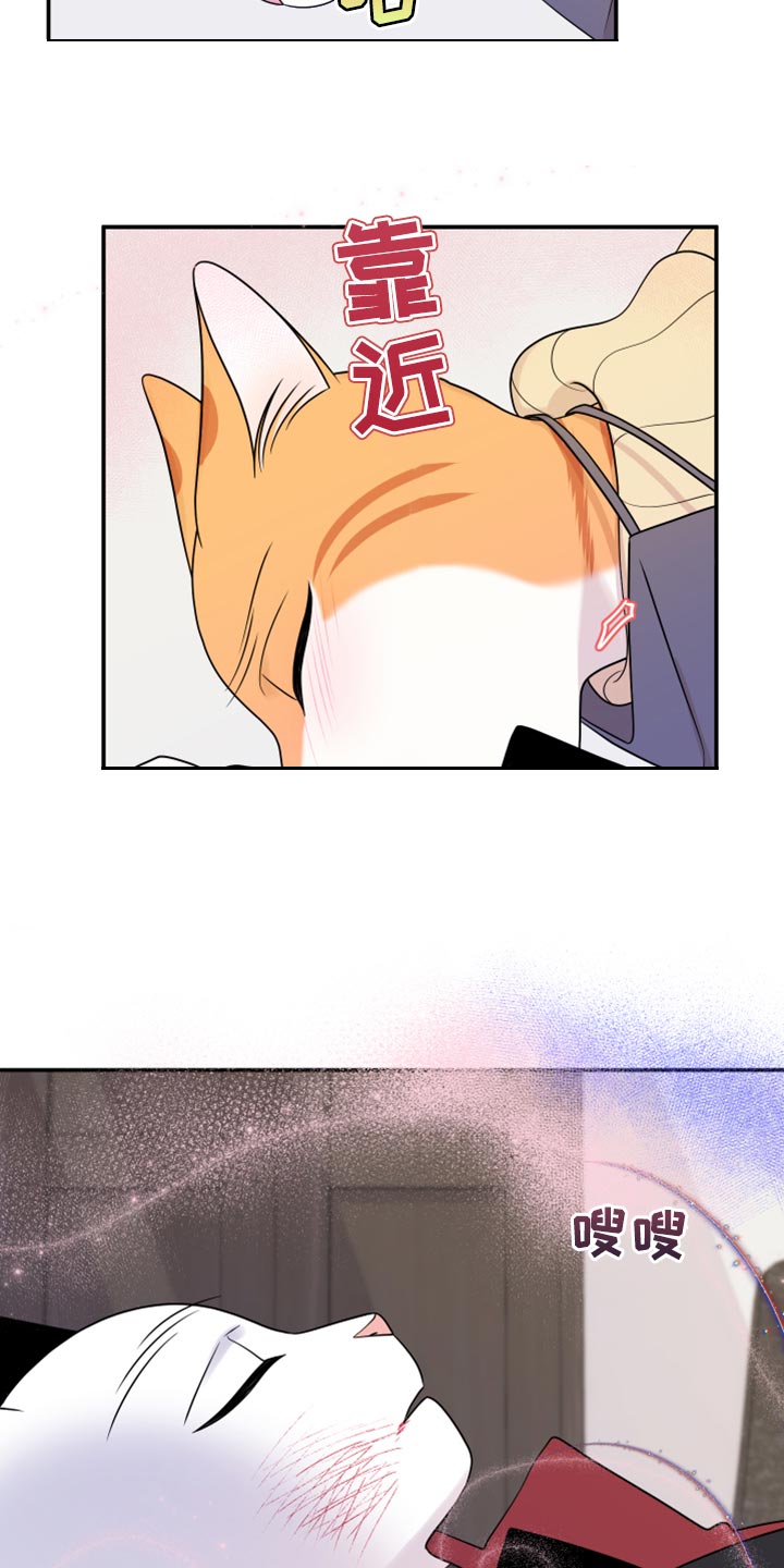 第51章：决定16