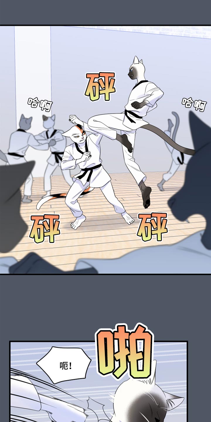 第76章：【第二季】有什么特别2