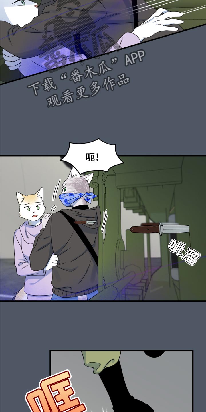 第83章：【第二季】捕猎14