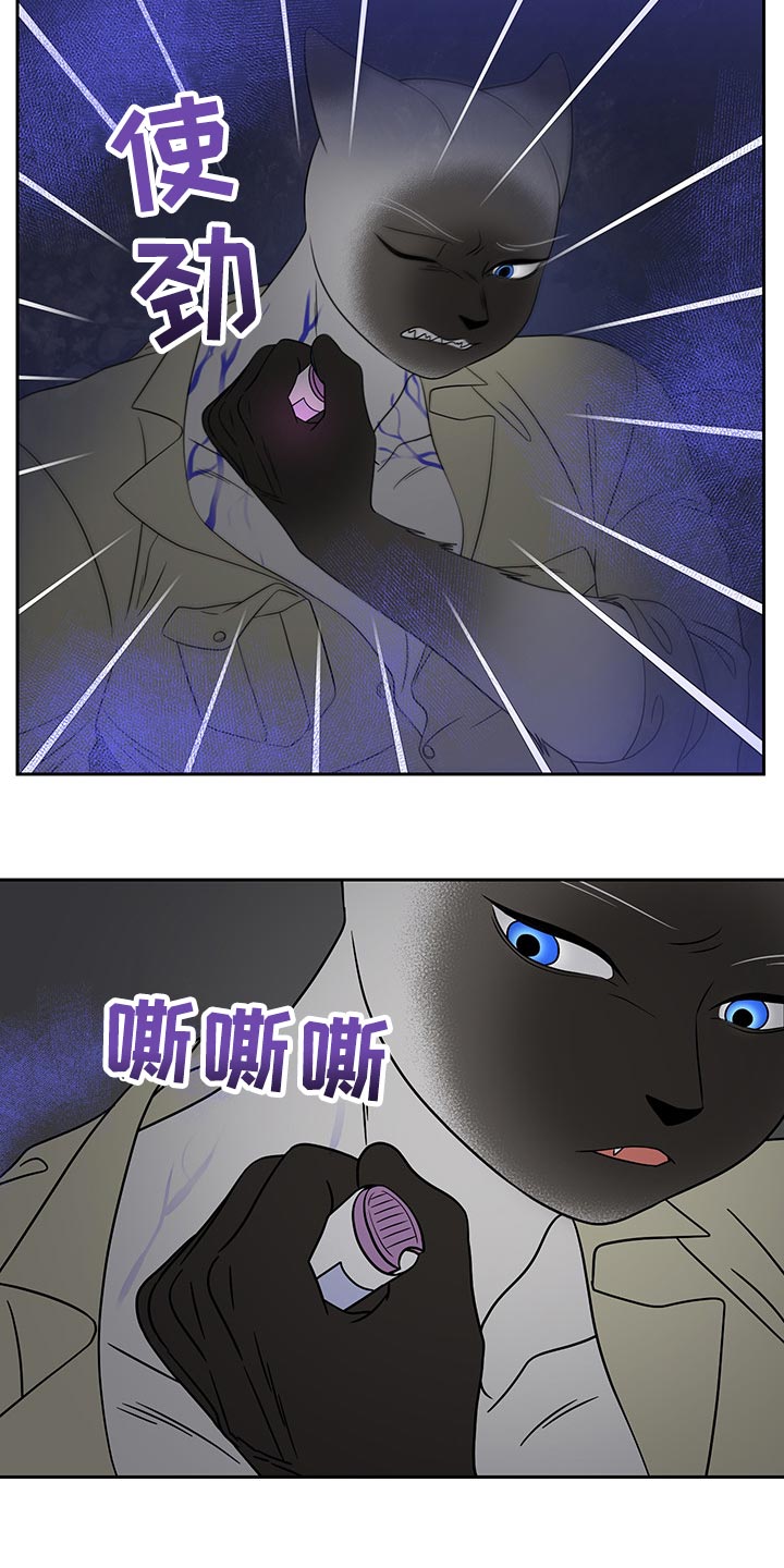 第40章：平凡的生活2