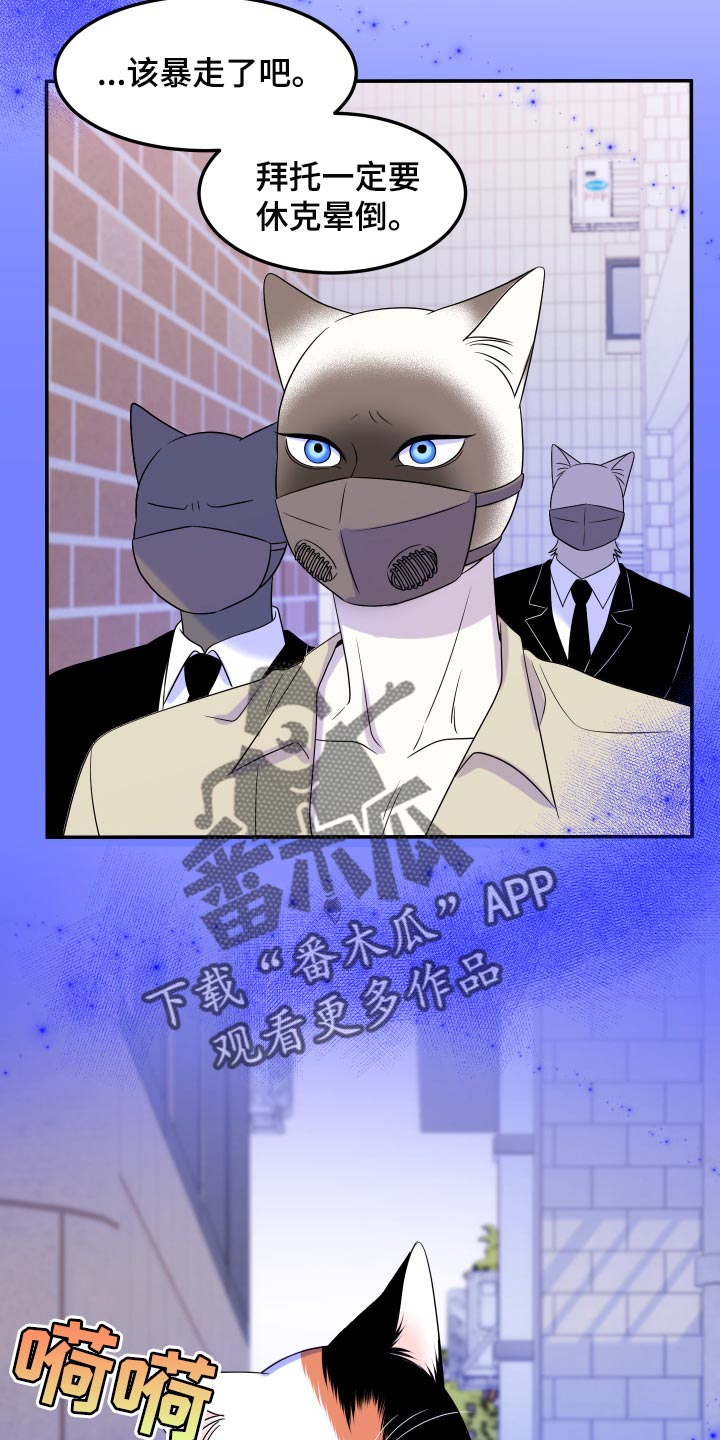 第49章：让我保护你34