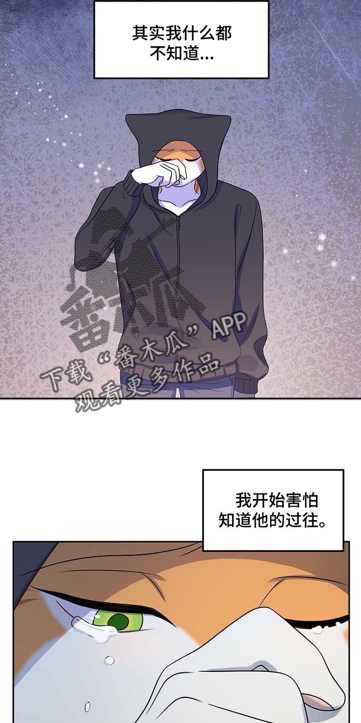 第41章：重新回到平静的生活9