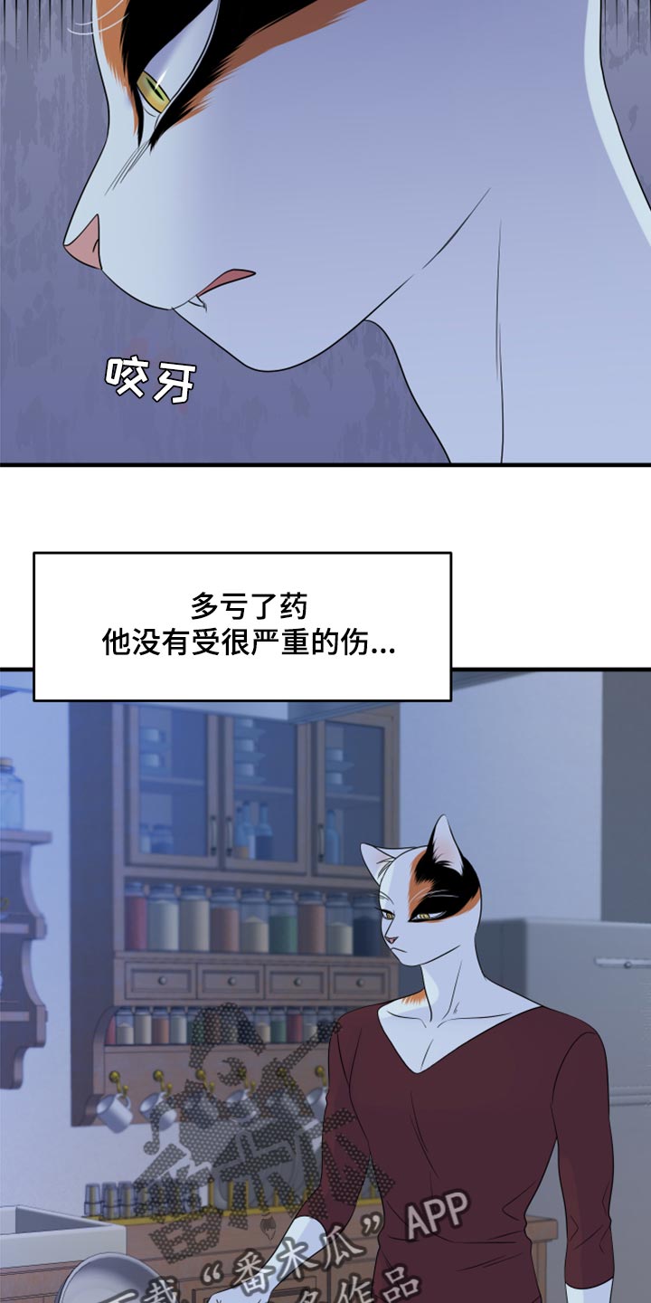 第66章：【第二季】你可以放心了13