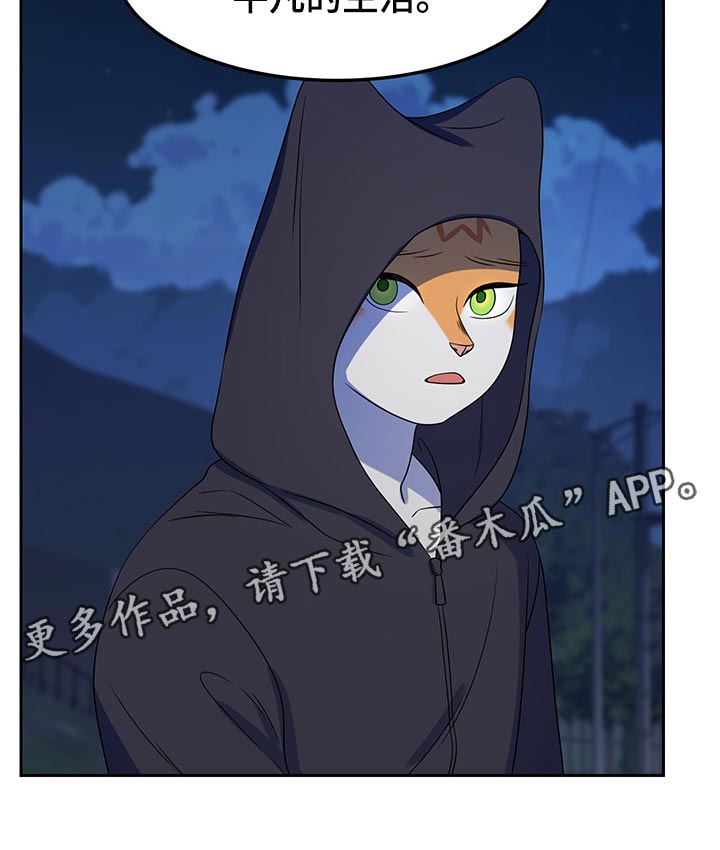 第40章：平凡的生活19