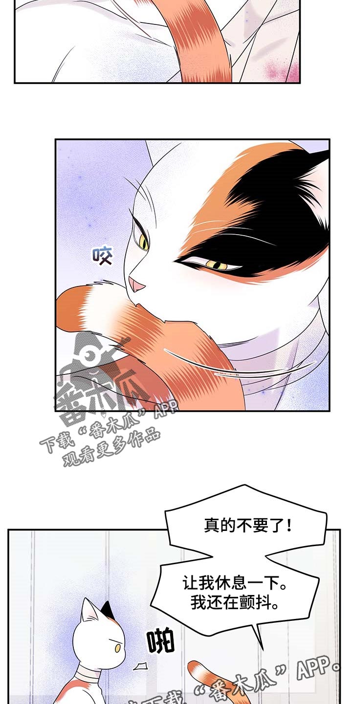 第47章：好好看着你19
