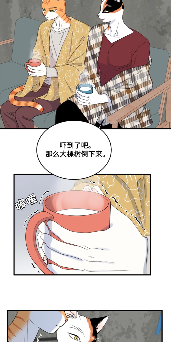 第89章：【第二季】乱七八糟2