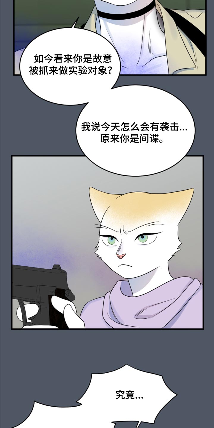 第84章：【第二季】爆炸4