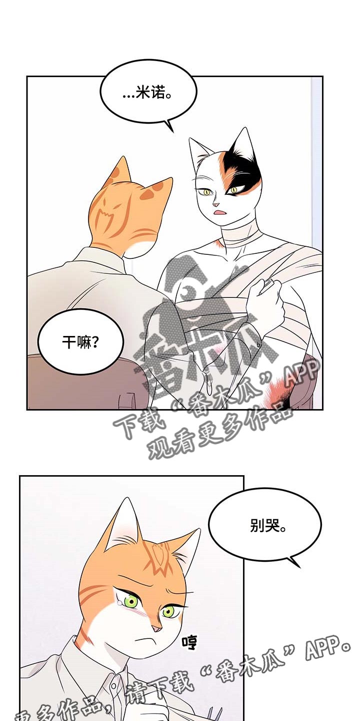 第45章：别哭15