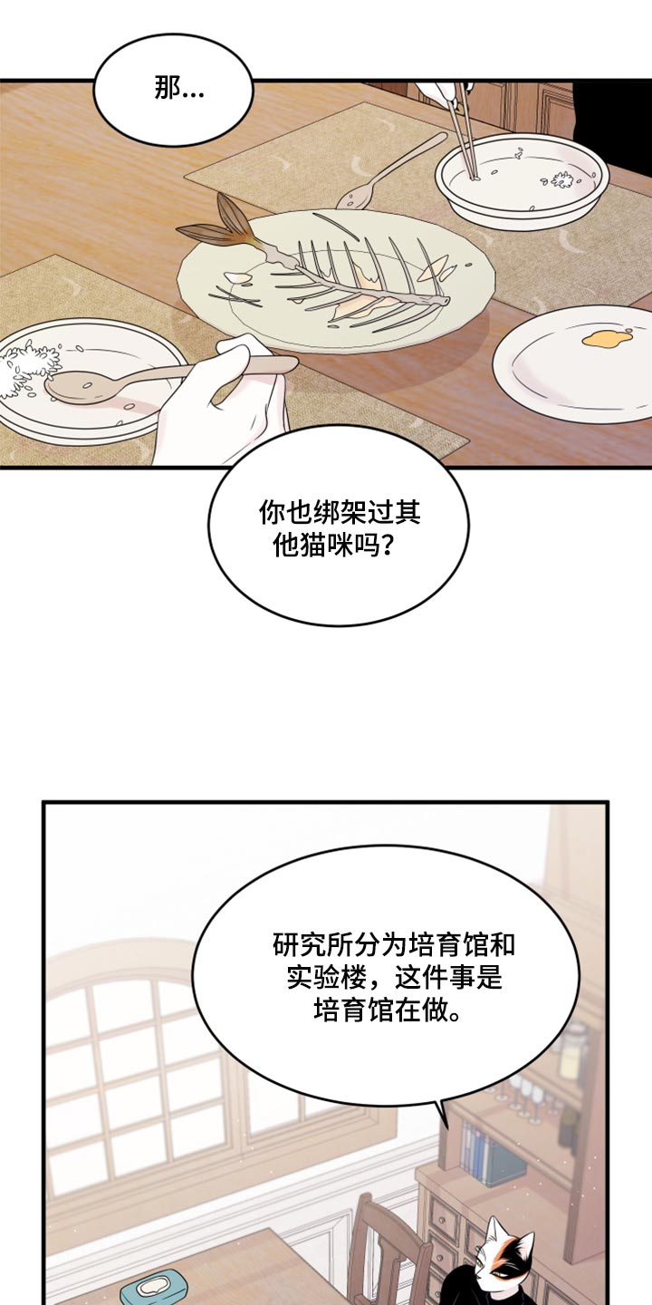 第73章：【第二季】绑架灵猫15