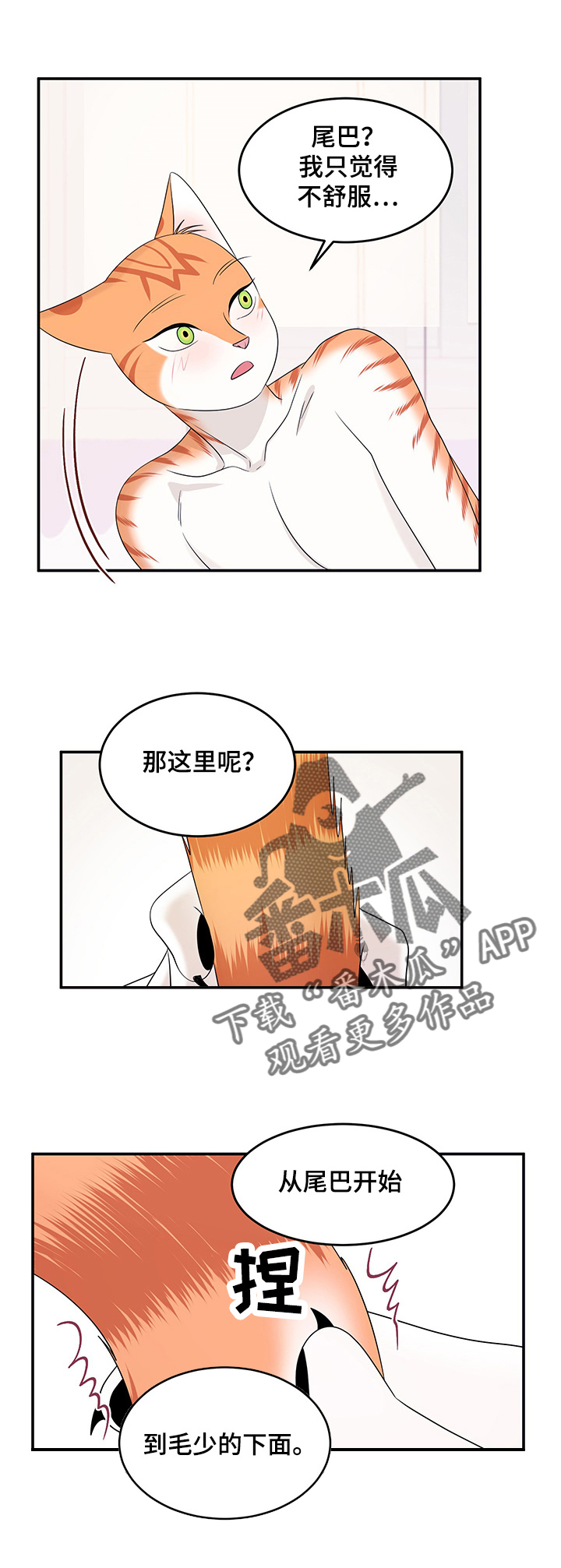 第12章：义务7