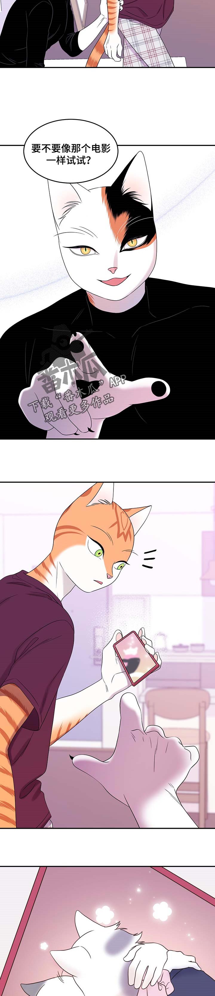 第17章：早去早回6