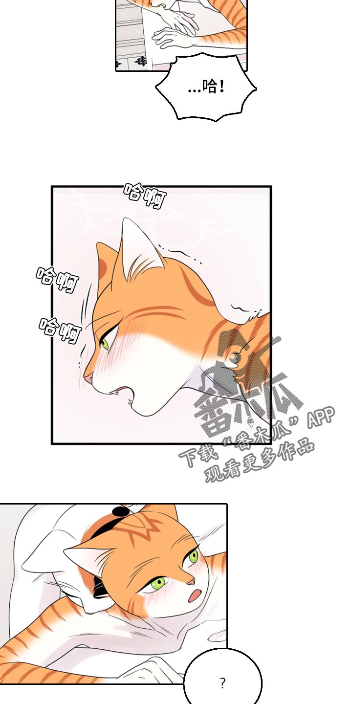 第72章：【第二季】这是折磨啊16