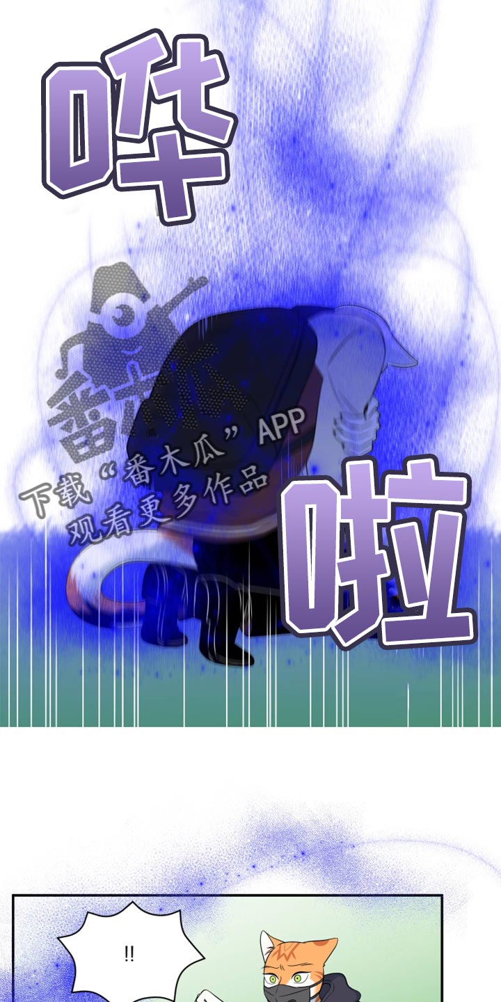第62章：【第二季】撑过这一次就行5