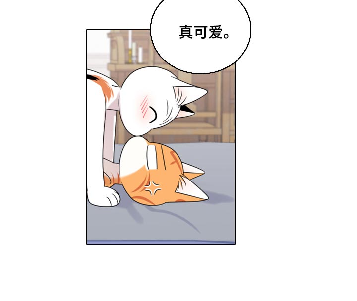 第91章：【第二季】暴走之前18