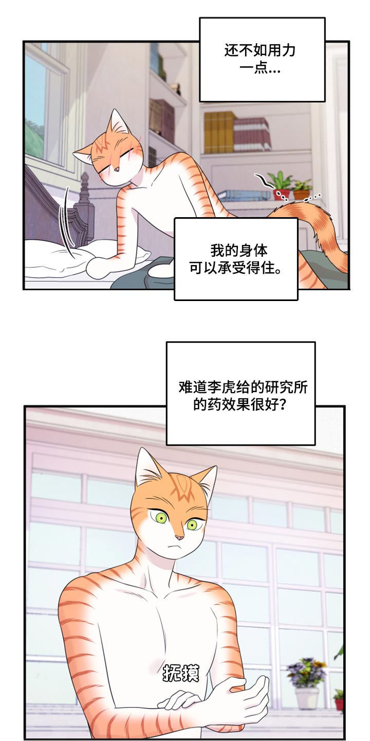第73章：【第二季】绑架灵猫3