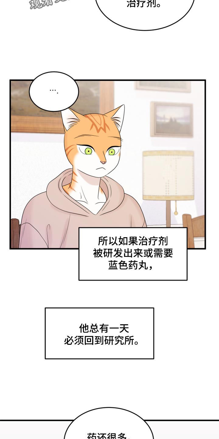 第73章：【第二季】绑架灵猫10