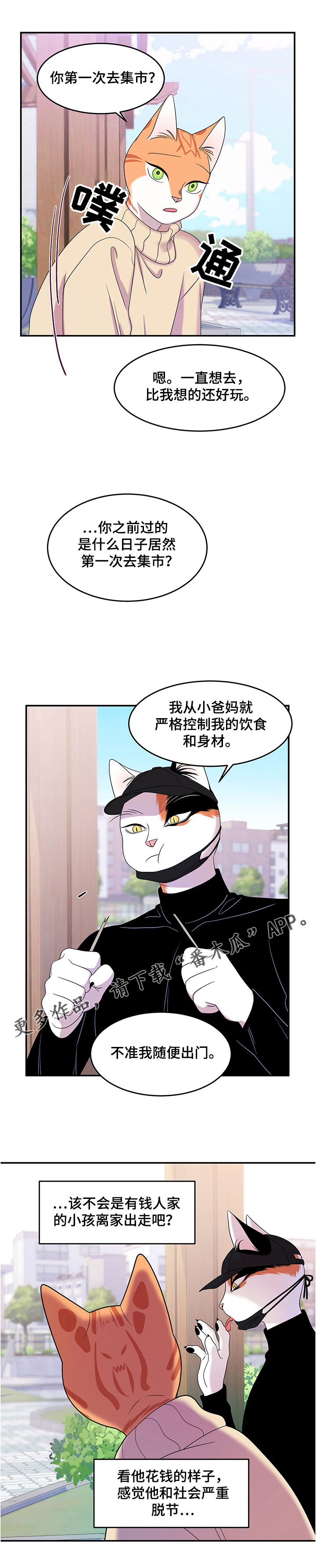 第9章：集市11