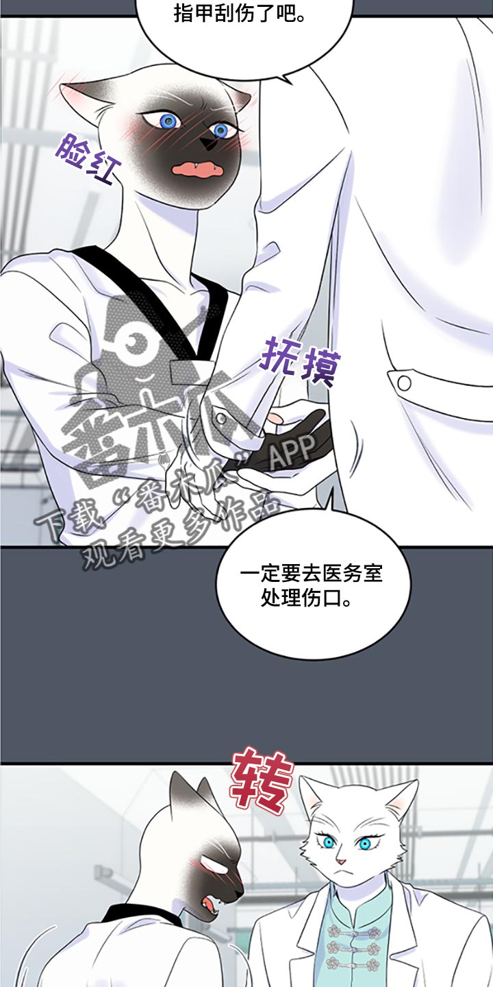 第77章：【第二季】一定要在一起！12