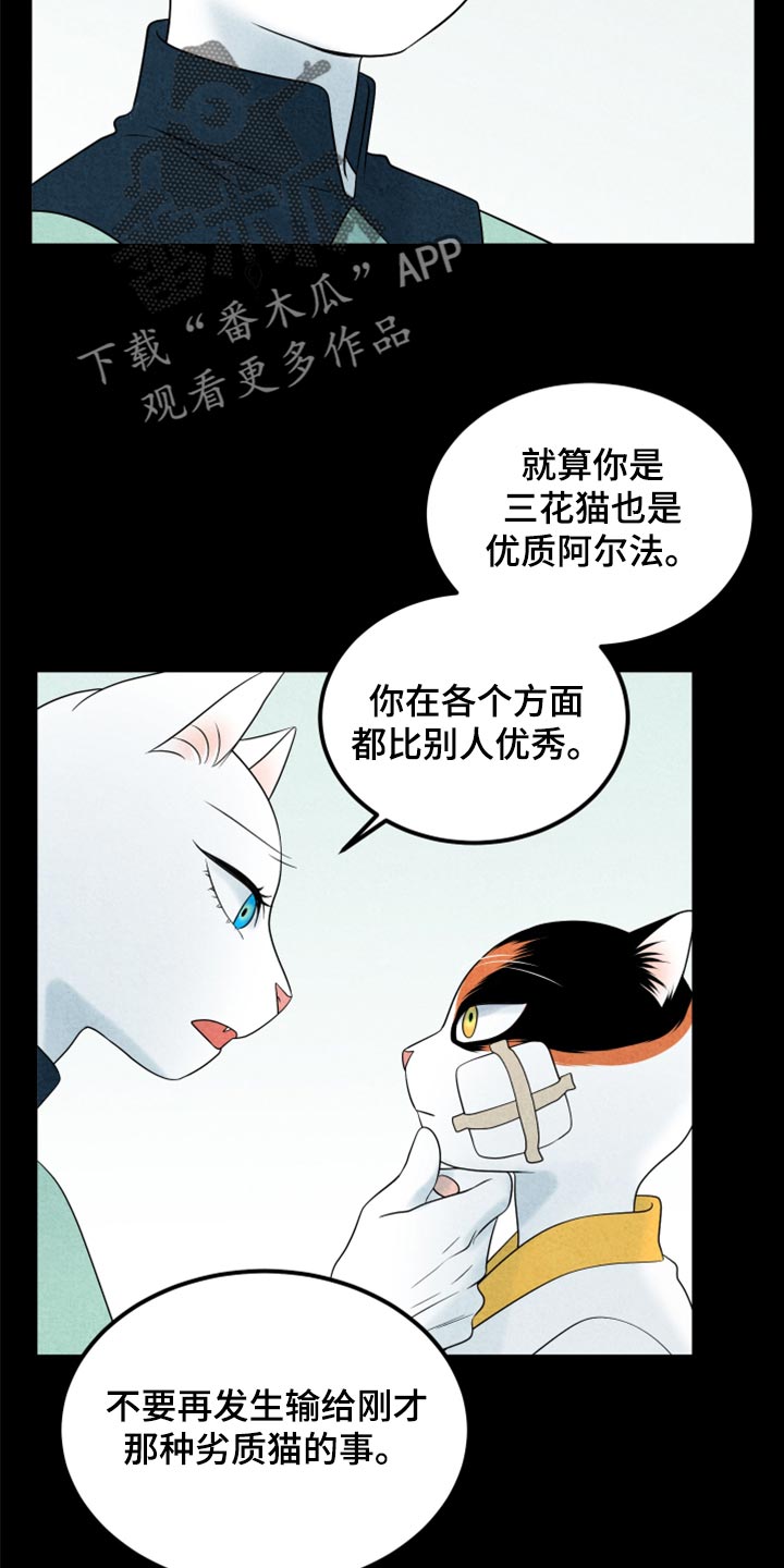 第70章：【第二季】我想放弃5
