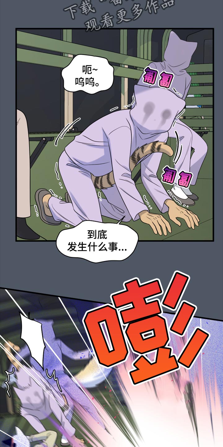 第81章：【第二季】中弹6