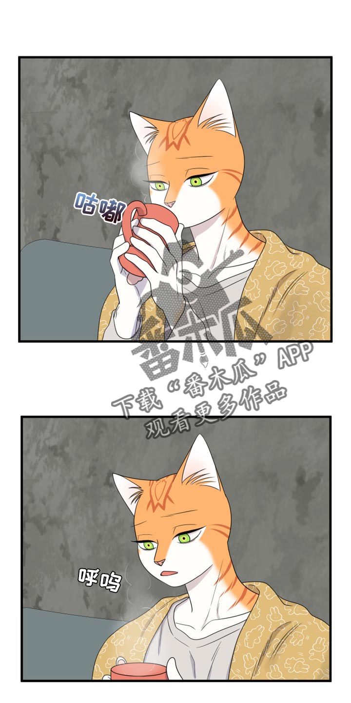 第89章：【第二季】乱七八糟0