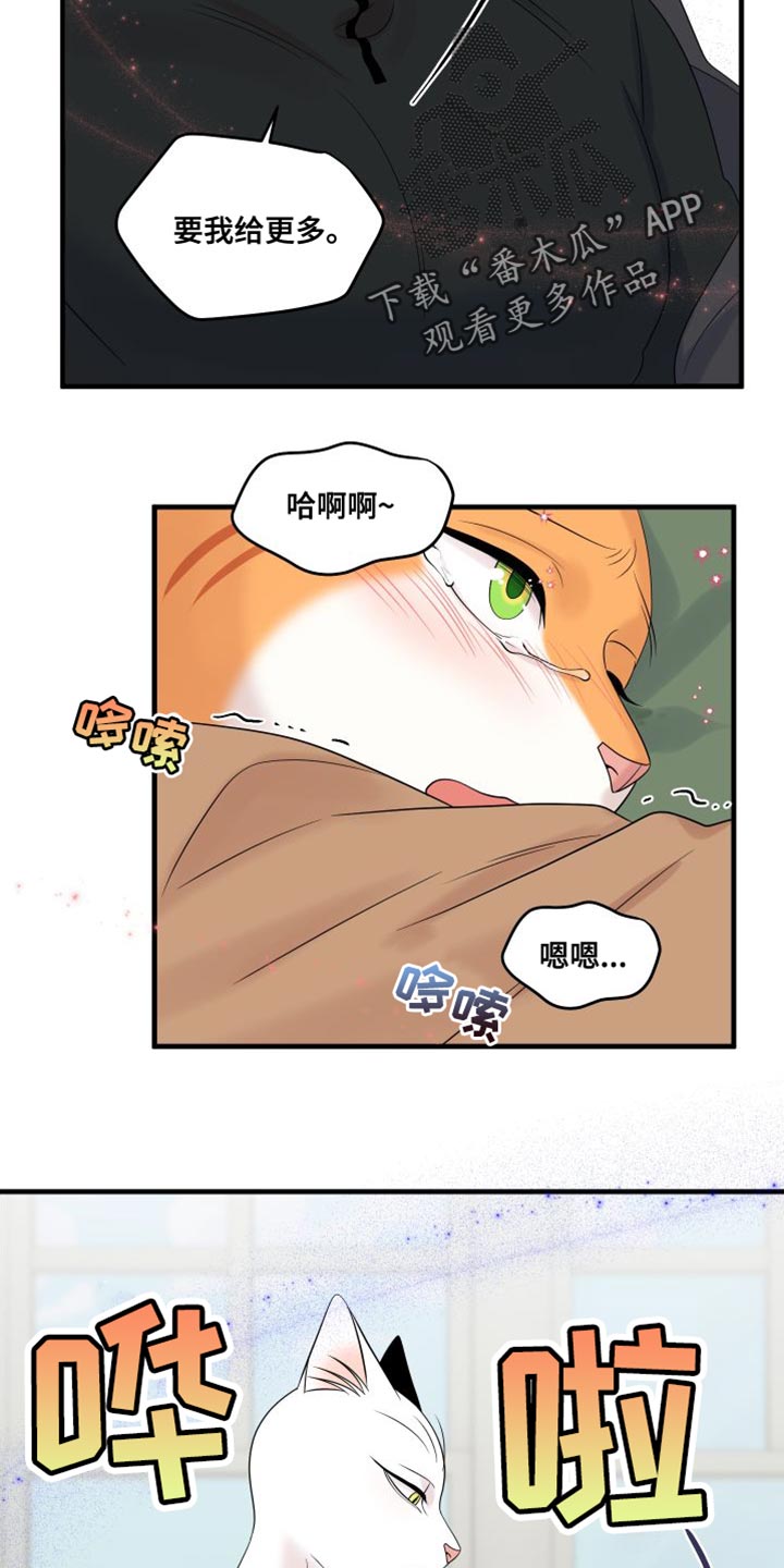 第104章：【第二季】更重要的事21