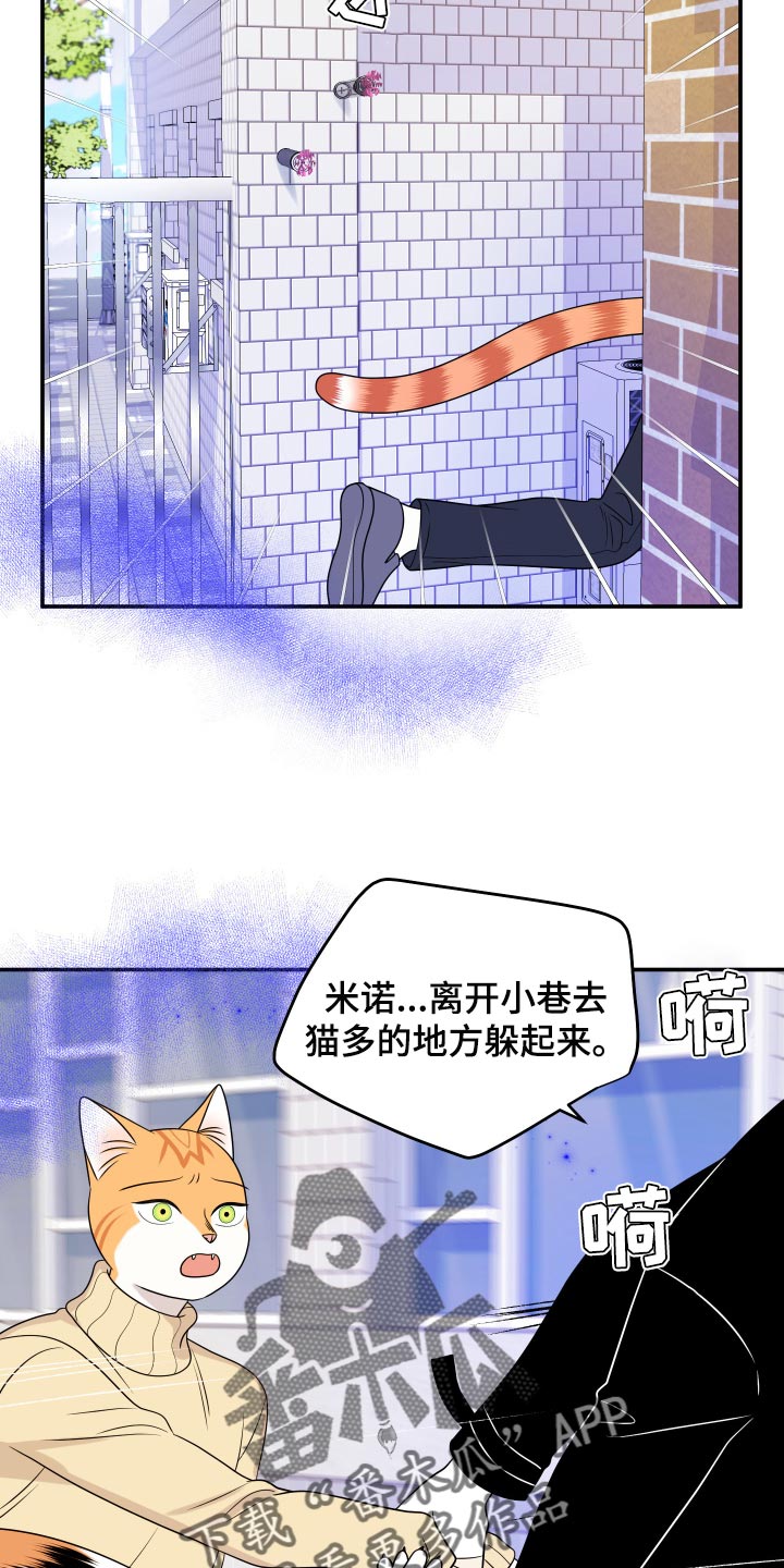 第49章：让我保护你24