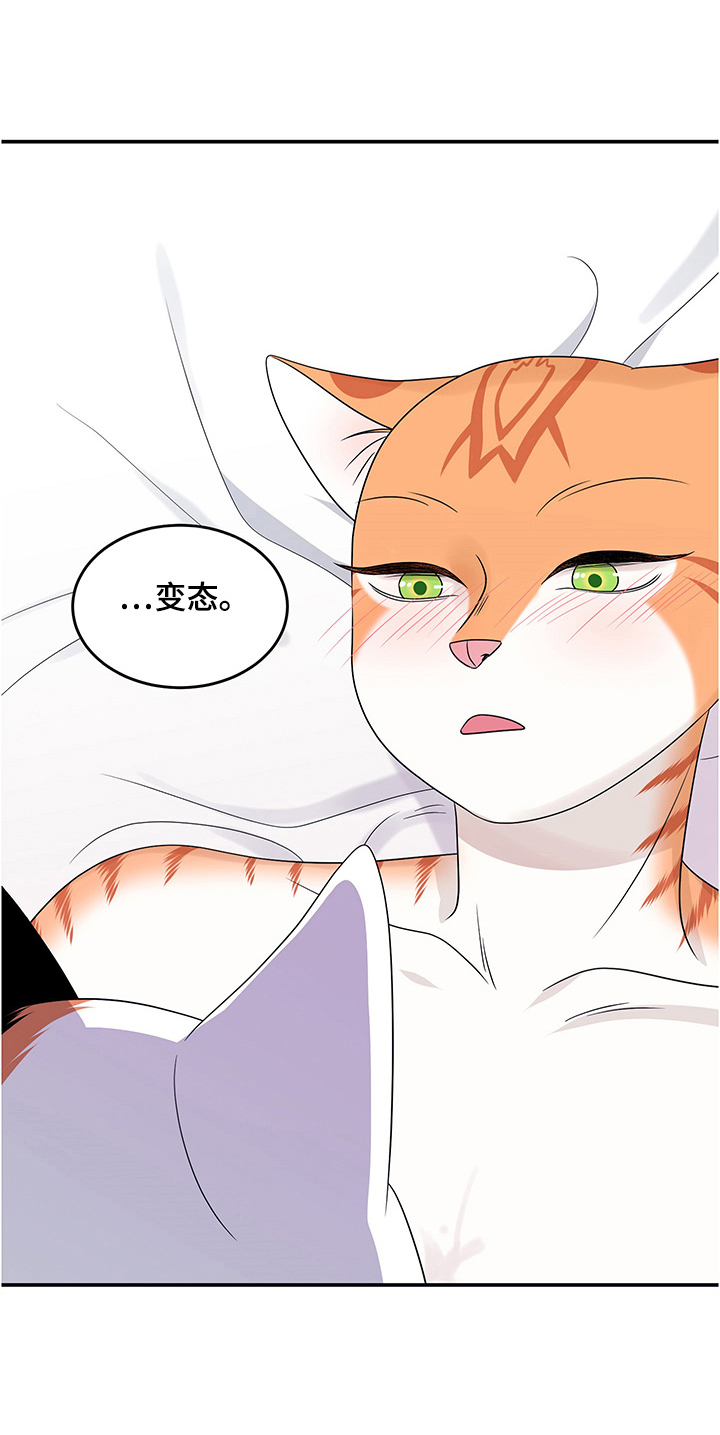 第12章：义务2
