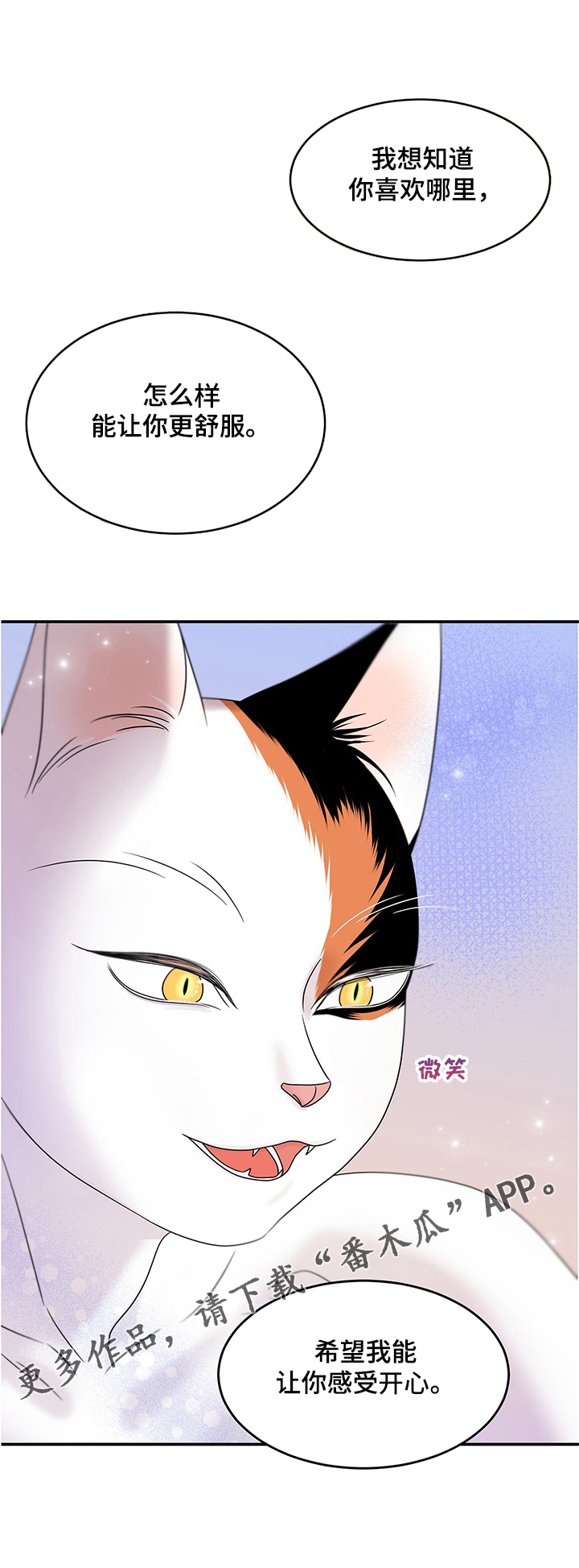 第12章：义务5