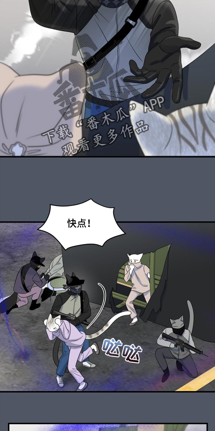 第81章：【第二季】中弹11