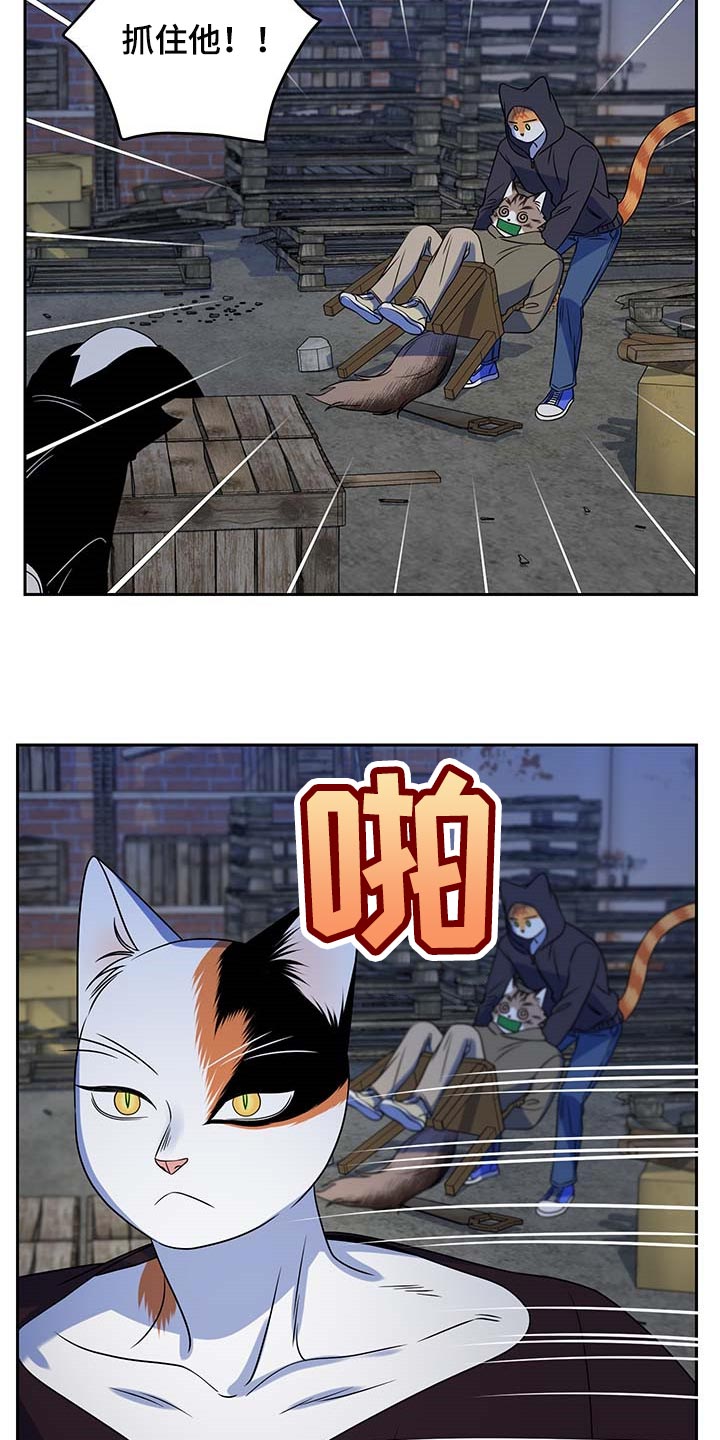 第38章：罪有应得6