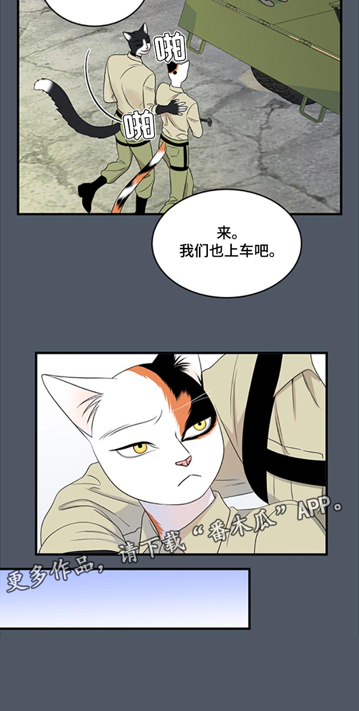 第79章：【第二季】傻瓜22