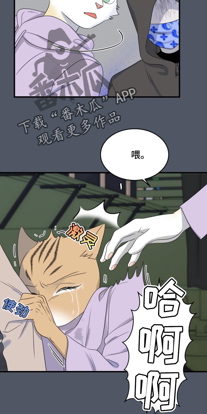 第81章：【第二季】中弹24