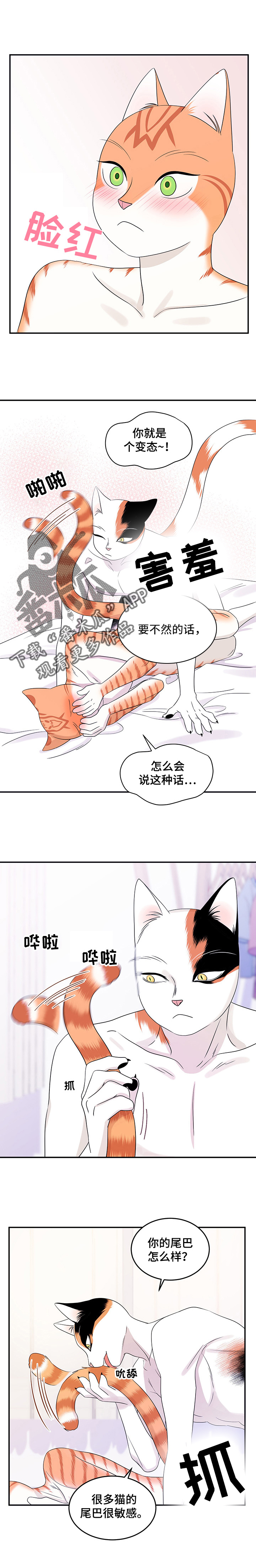 第12章：义务6