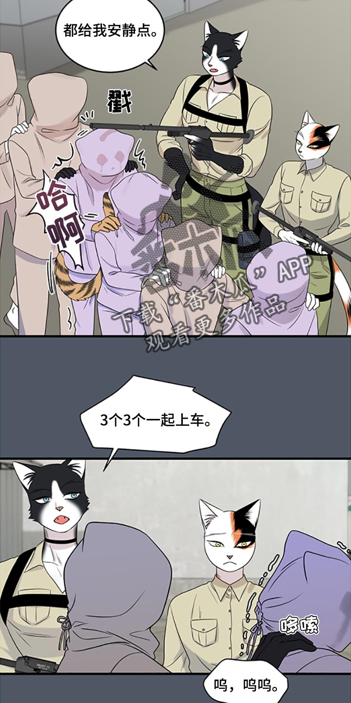 第79章：【第二季】傻瓜18