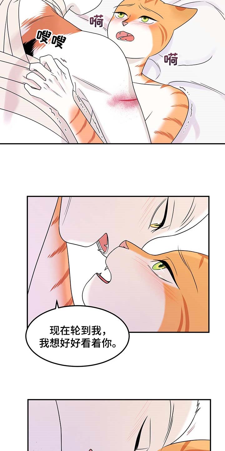 第47章：好好看着你5